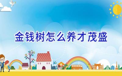 金钱树怎么养才茂盛插图