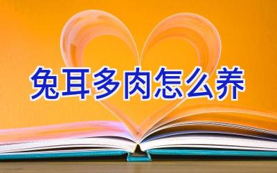 兔耳多肉怎么养插图