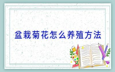 盆栽菊花怎么养殖方法插图