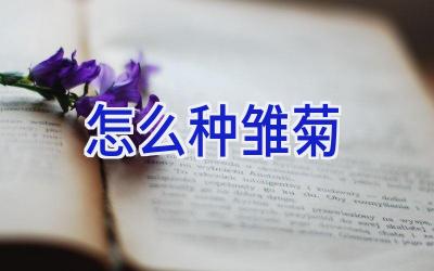 怎么种雏菊插图