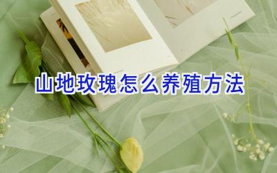 山地玫瑰怎么养殖方法插图