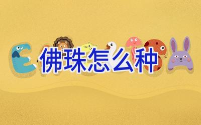 佛珠怎么种插图