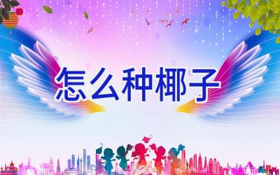 怎么种椰子插图