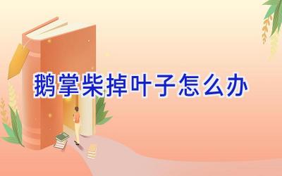 鹅掌柴掉叶子怎么办插图