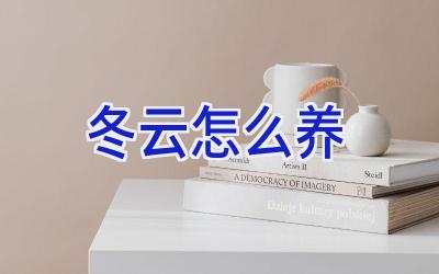 冬云怎么养插图