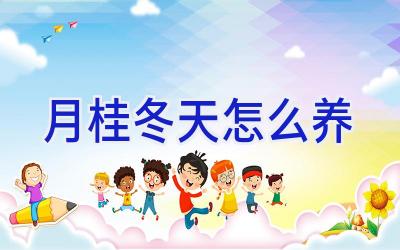 月桂冬天怎么养插图