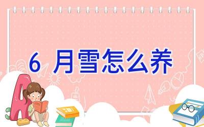 6月雪怎么养插图