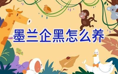 墨兰企黑怎么养插图