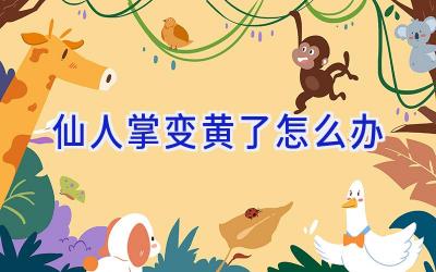 仙人掌变黄了怎么办插图