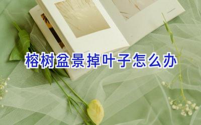 榕树盆景掉叶子怎么办插图