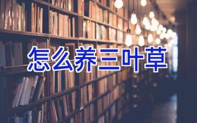 怎么养三叶草插图