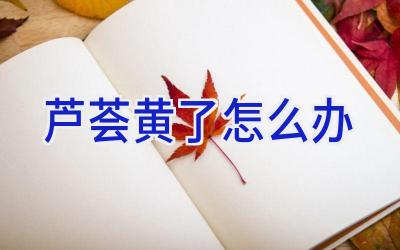 芦荟黄了怎么办插图