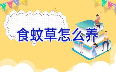 食蚊草怎么养插图