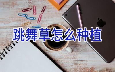 跳舞草怎么种植插图