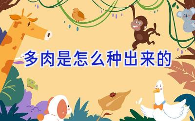 多肉是怎么种出来的插图