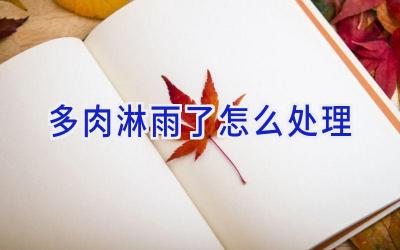 多肉淋雨了怎么处理插图