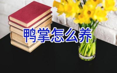 鸭掌怎么养插图