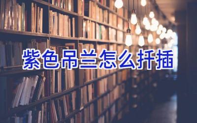 紫色吊兰怎么扦插插图