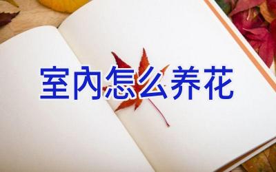 室内怎么养花插图