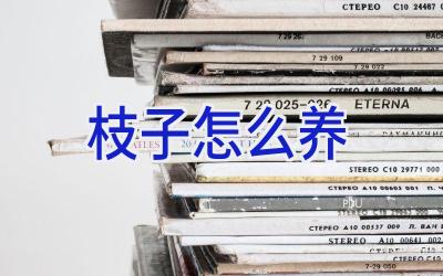 枝子怎么养插图