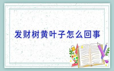 发财树黄叶子怎么回事插图