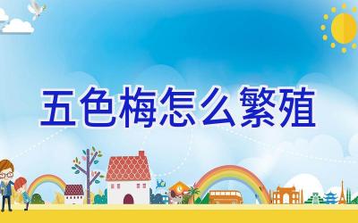五色梅怎么繁殖插图