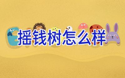 摇钱树怎么样插图