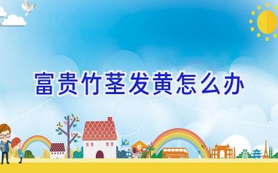 富贵竹茎发黄怎么办插图 富贵竹茎发黄怎么办插图