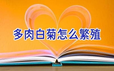多肉白菊怎么繁殖插图 多肉白菊怎么繁殖插图
