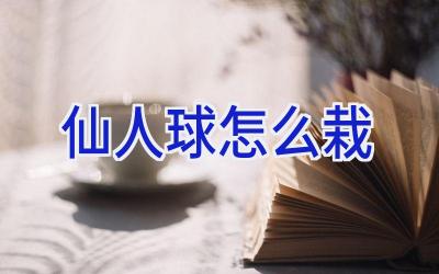 仙人球怎么栽插图 仙人球怎么栽插图