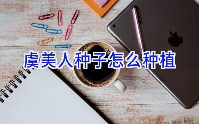 虞美人种子怎么种植插图 虞美人种子怎么种植插图