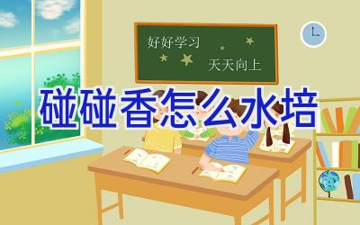 碰碰香怎么水培插图