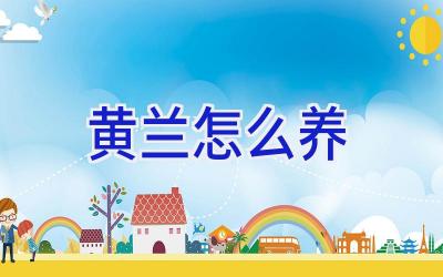 黄兰怎么养插图 黄兰怎么养插图