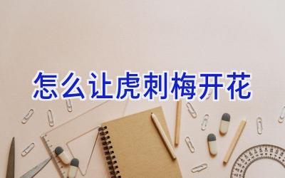 怎么让虎刺梅开花插图