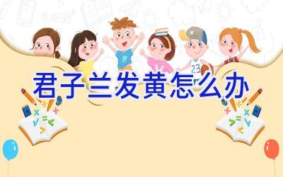 君子兰发黄怎么办插图 君子兰发黄怎么办插图