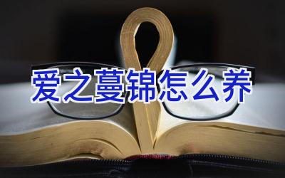 爱之蔓锦怎么养插图