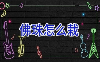 佛珠怎么栽插图 佛珠怎么栽插图