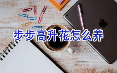 步步高升花怎么养插图 步步高升花怎么养插图