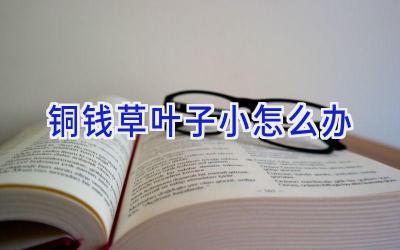 铜钱草叶子小怎么办插图