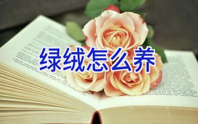 绿绒怎么养插图 绿绒怎么养插图