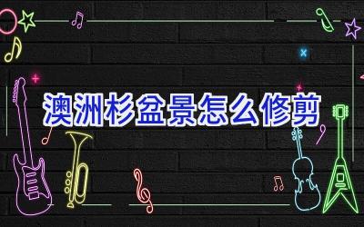 澳洲杉盆景怎么修剪插图 澳洲杉盆景怎么修剪插图