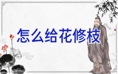 怎么给花修枝插图 怎么给花修枝插图