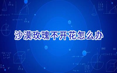 沙漠玫瑰不开花怎么办插图