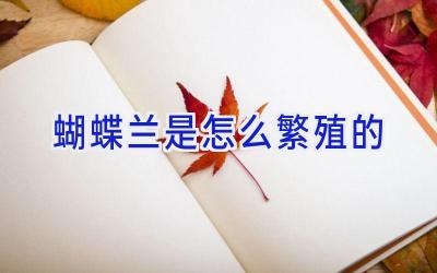 蝴蝶兰是怎么繁殖的插图 蝴蝶兰是怎么繁殖的插图