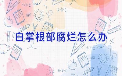 白掌根部腐烂怎么办插图 白掌根部腐烂怎么办插图