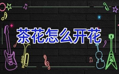 茶花怎么开花插图 茶花怎么开花插图