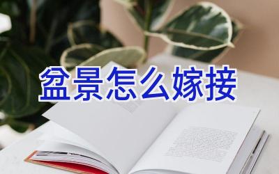 盆景怎么嫁接插图