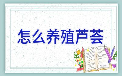 怎么养殖芦荟插图