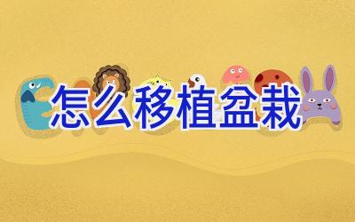 怎么移植盆栽插图