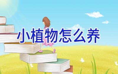 小植物怎么养插图
